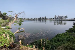 Kalyani Fish Farm (Office of the Assistant Director of Fisheries) image