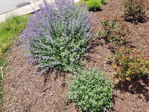 Golf Club «Riverfront Golf Club», reviews and photos, 5200 River Club Dr, Suffolk, VA 23435, USA