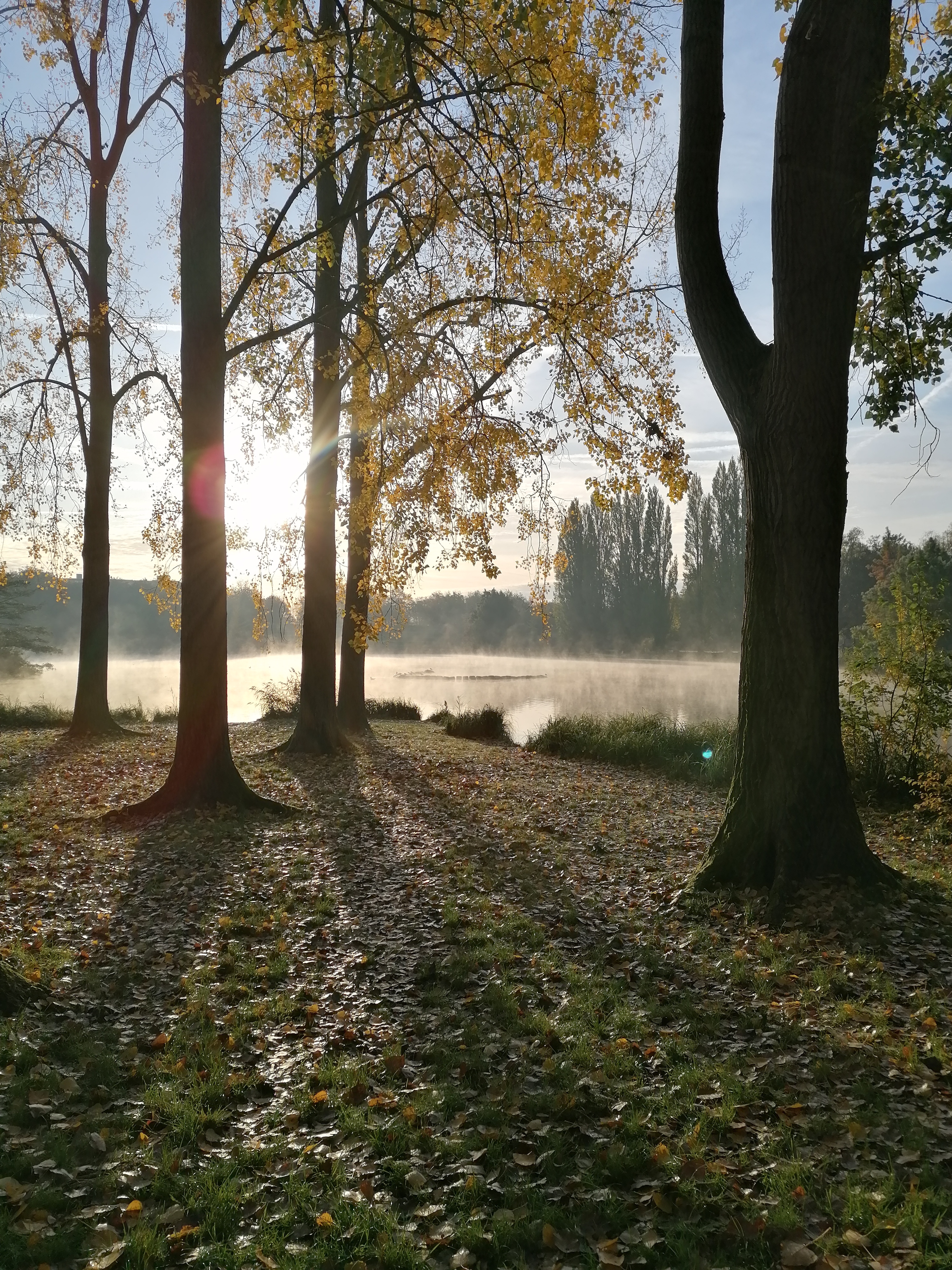 Photo n° 2 de l'avis de Mélodie.a fait le 07/11/2019 à 22:04