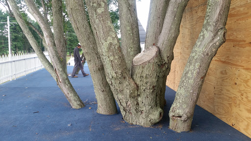 Golf Club «Baltusrol Golf Club», reviews and photos, 201 Shunpike Rd, Springfield Township, NJ 07081, USA