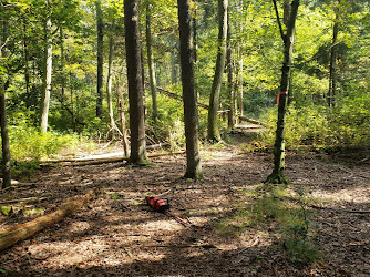 Willow Oak Natural Area