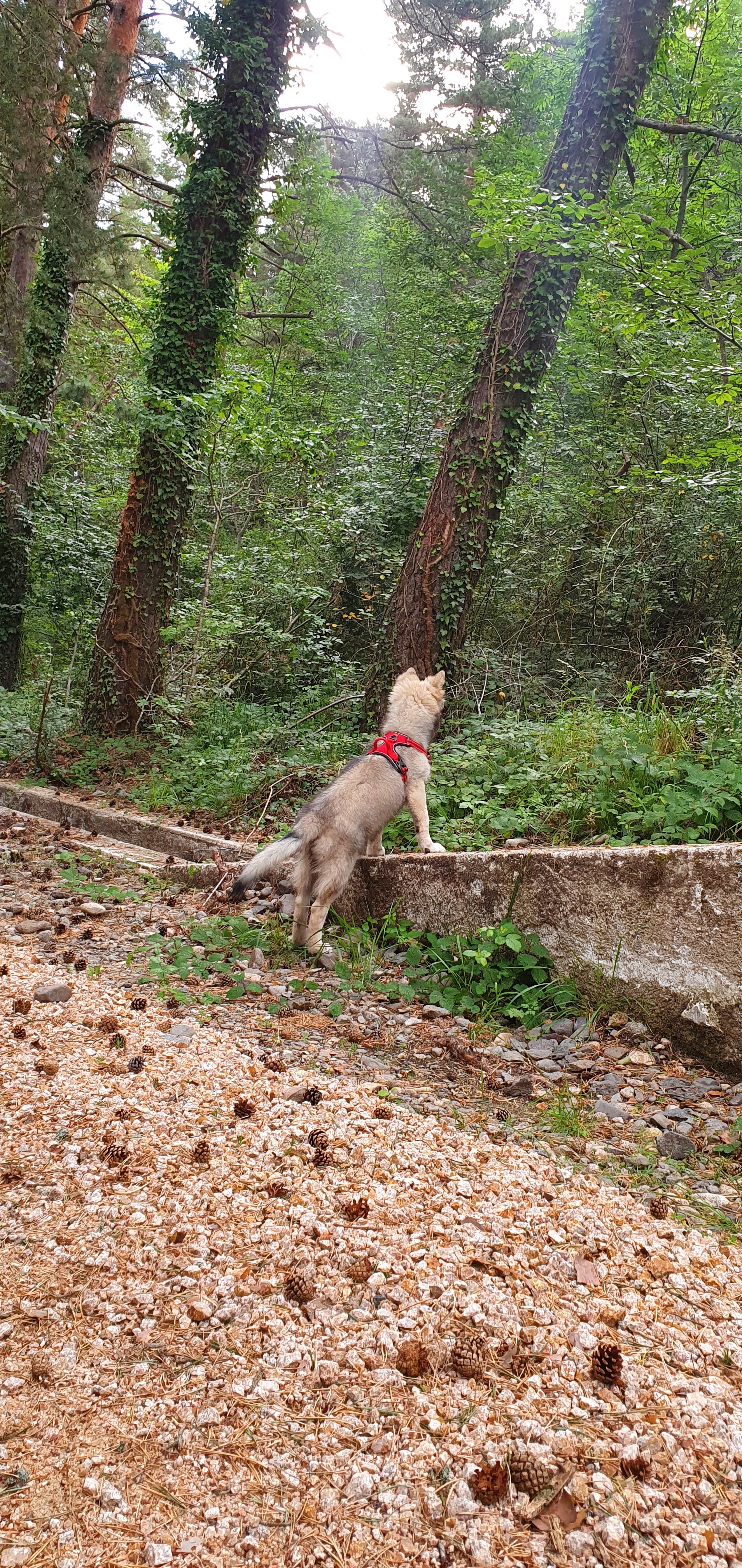 Photo n° 1 de l'avis de Nlw.r fait le 14/08/2020 à 23:10