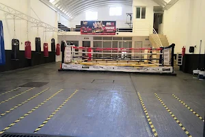 Bracamontes Boxing Club image
