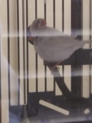 Pet Supply Store «Petco Animal Supplies», reviews and photos, 6720 Fox Centre Pkwy, Gloucester Courthouse, VA 23061, USA