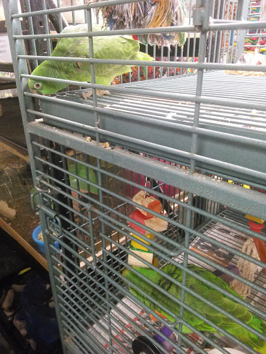 Pet Store «Pet Zone», reviews and photos, 8925 Jewella Ave #4, Shreveport, LA 71118, USA