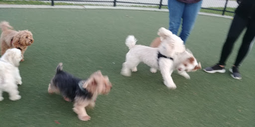 Dog Park «Bay Park Dog Park», reviews and photos, 2 Marjorie Ln, East Rockaway, NY 11518, USA