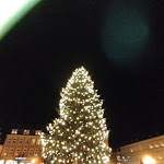 Photo n°1 de l'avis de dana. fait le 01/01/2024 à 14:17 sur le  The Royal inn Wilder Mann Annaberg à Annaberg-Buchholz