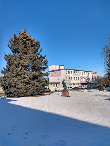 Recenzie Nemocnica s poliklinikou Ilava v Ilava - Nemocnica