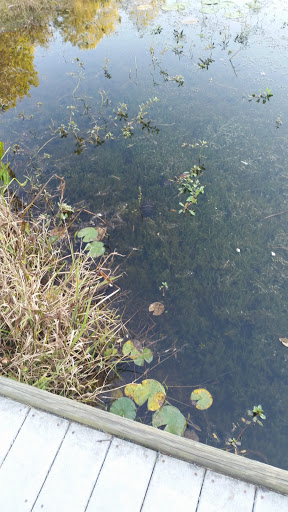 Park «Ellanor C. Lawrence Park», reviews and photos, 5040 Walney Rd, Chantilly, VA 20151, USA