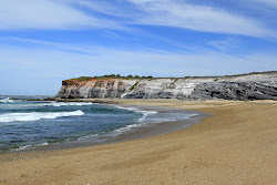 Zdjęcie Plumbago Beach z proste i długie