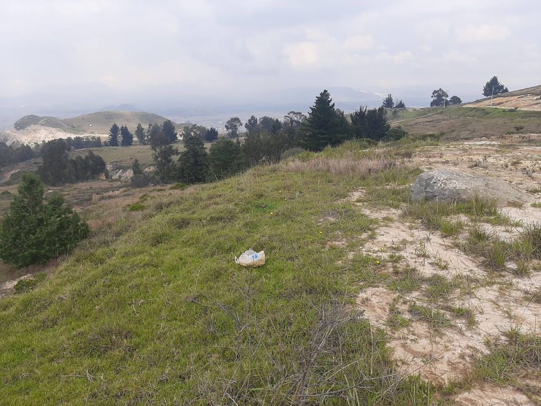 Agregados Nueva Colombia S.A.S