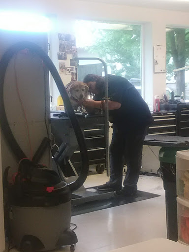 Animal Feed Store «Wilco Farm Store», reviews and photos, 2300 E Hancock St, Newberg, OR 97132, USA