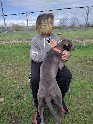 Animal Protection Organization «Humane Society-Black Hills», reviews and photos