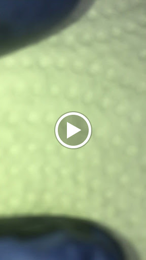 Explore dog nose tattoo ideas, creative tattoo ideas in Birmingham, available at TattzRuz Tattoo & Piercings Studio