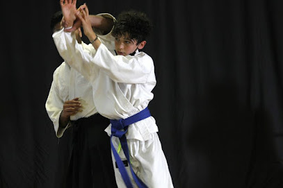 Aikido club