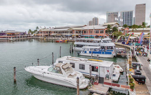 Performing Arts Theater «Bayfront Park Amphitheatre», reviews and photos, 301 Biscayne Blvd, Miami, FL 33132, USA