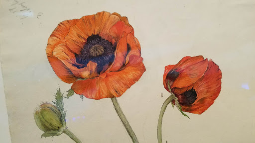 Modern Art Museum «Solomon R. Guggenheim Museum», reviews and photos, 1071 5th Ave, New York, NY 10128, USA