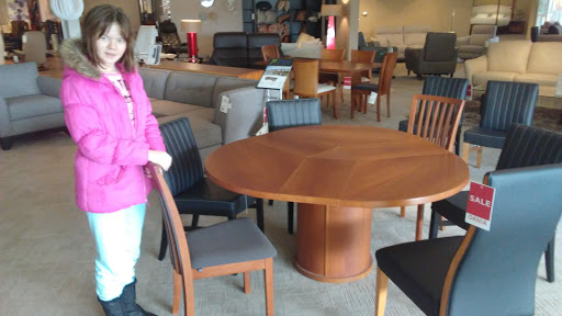 Furniture Store «Dania», reviews and photos, 1001 Skokie Blvd, Northbrook, IL 60062, USA