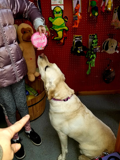 Pet Supply Store «Cheshire Cat & Dog Too», reviews and photos, 1320 Waterbury Rd, Cheshire, CT 06410, USA
