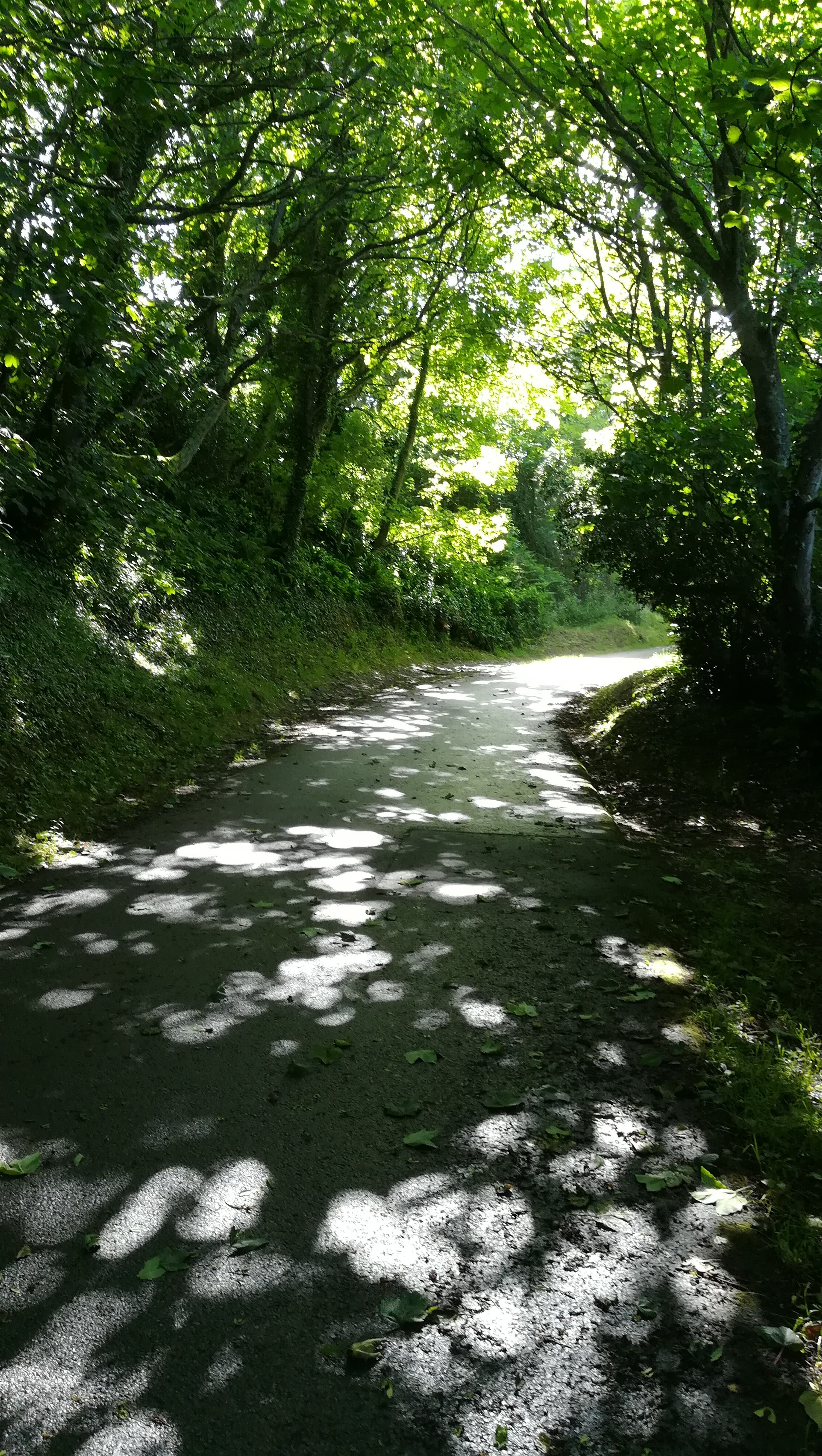 Photo n° 9 de l'avis de Karine.e fait le 25/06/2018 à 05:37
