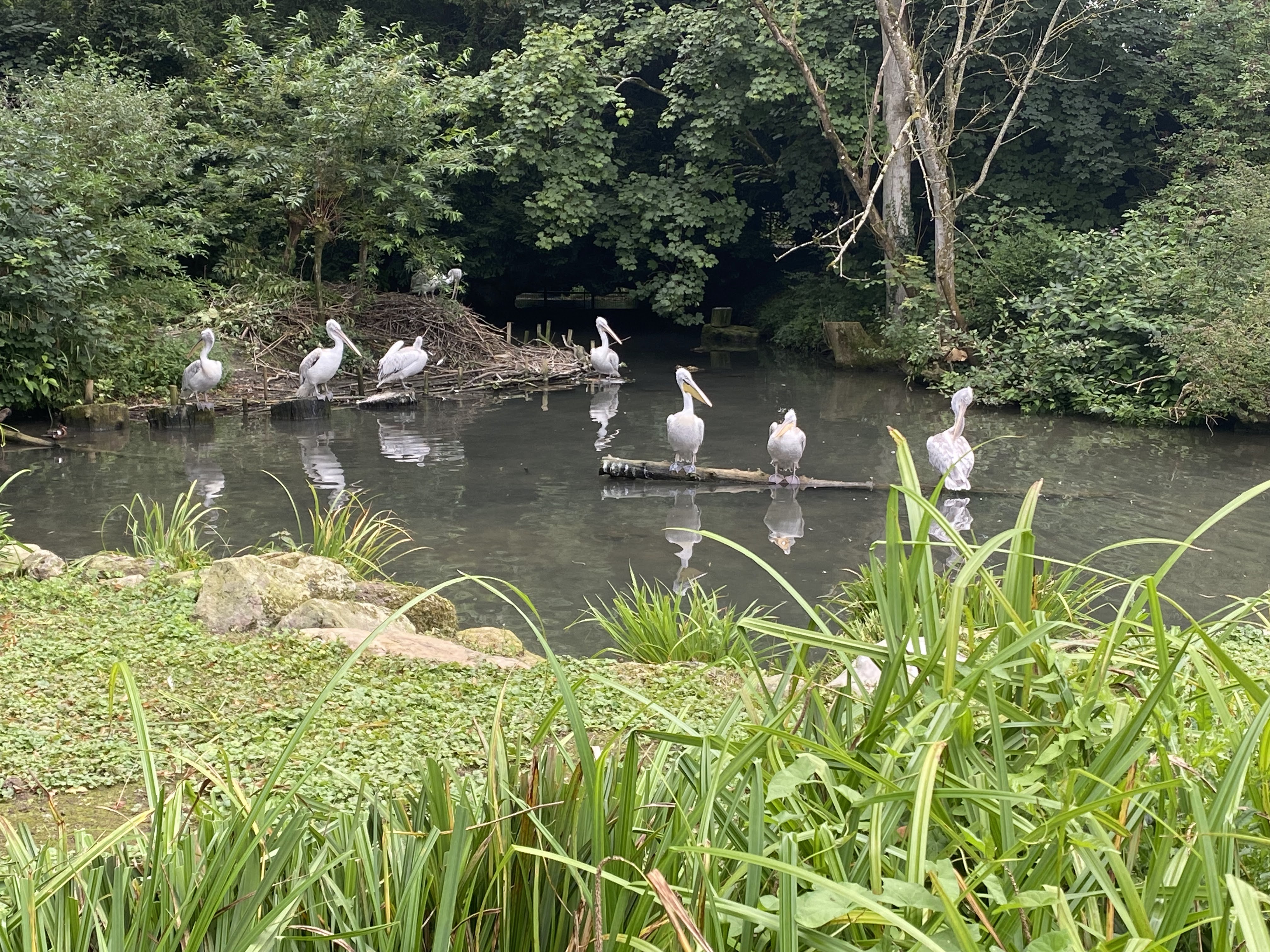 Photo n° 17 de l'avis de Mickael.e fait le 11/08/2023 à 05:54