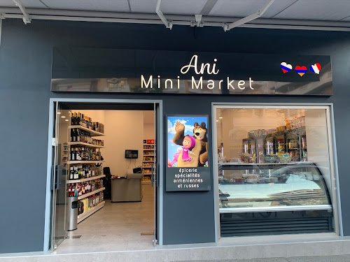 Épicerie russe Ani Mini Market Nice