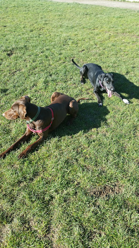 Park «Creston Park», reviews and photos, SE 44th Ave & Powell Blvd, Portland, OR 97206, USA