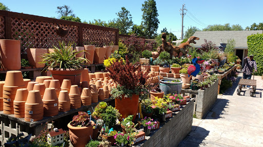 Florist «Cherry Lane Nursery», reviews and photos, 436 Traffic Way, Arroyo Grande, CA 93420, USA