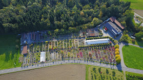 Schönenberger Söhne AG - Pflanzencenter & Baumschule