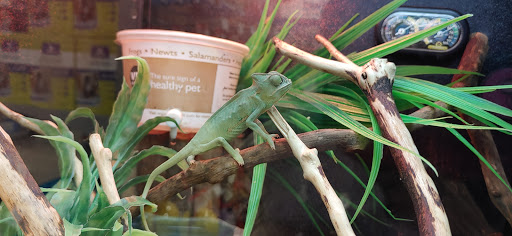 Pet Supply Store «PetSmart», reviews and photos, 1 Worcester Rd, Framingham, MA 01701, USA