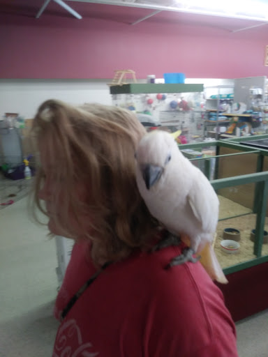 Pet Store «Petland Plano», reviews and photos, 1301 Custer Rd #405, Plano, TX 75075, USA