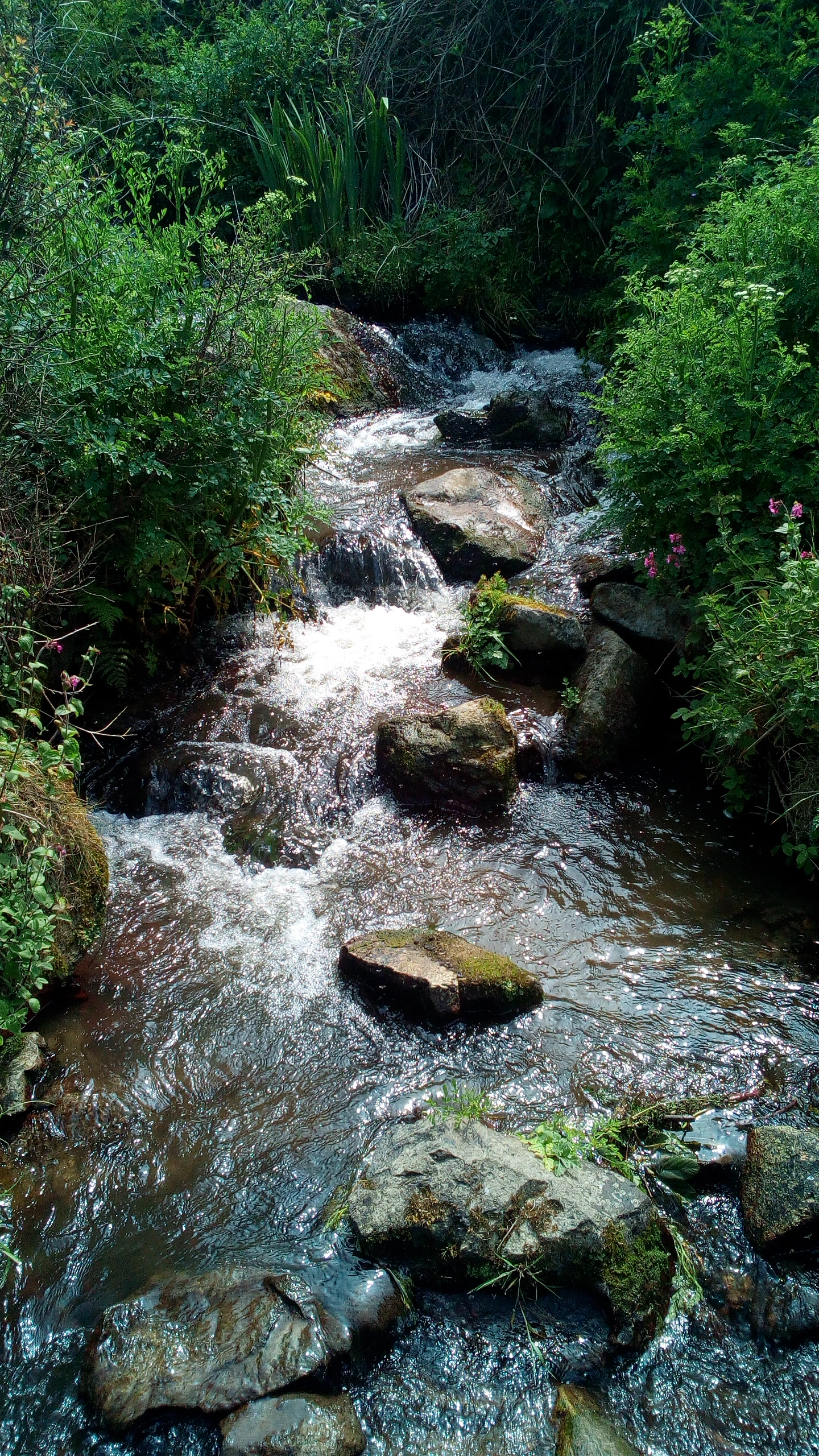 Photo n° 4 de l'avis de Corinthe.. fait le 03/08/2019 à 16:11