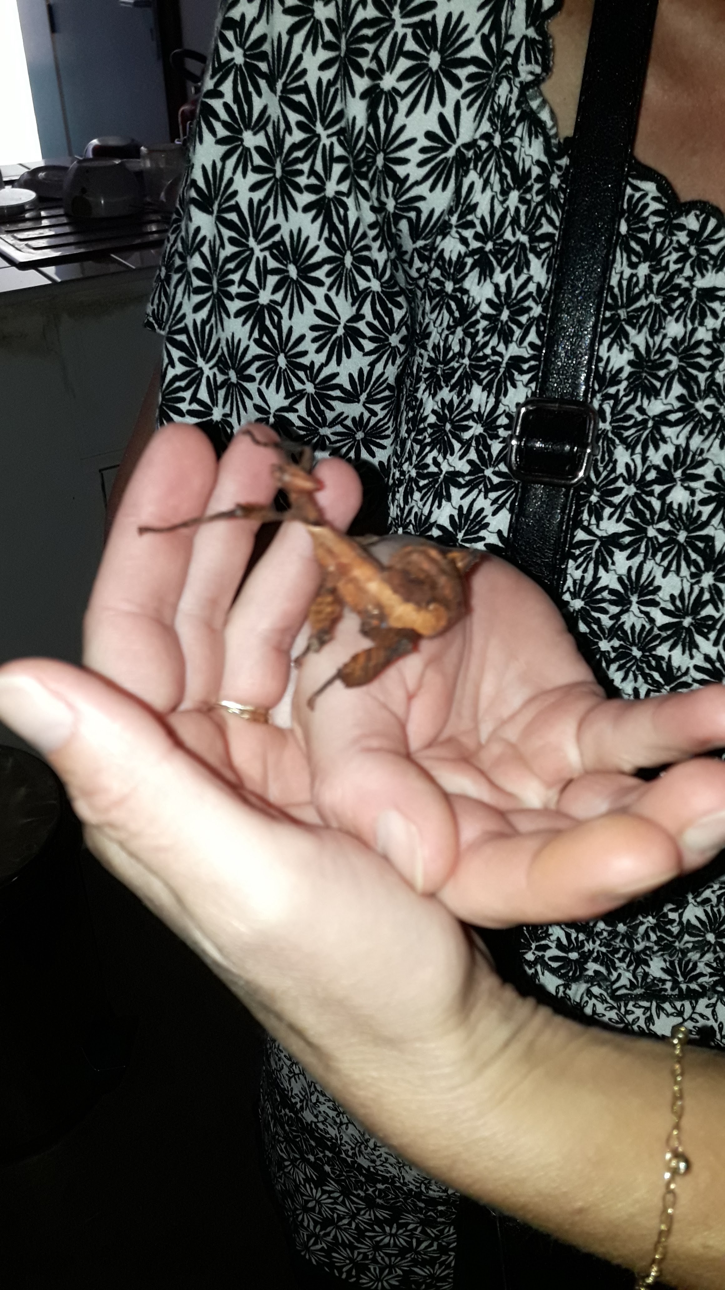 Photo n° 2 de l'avis de Christophe.l fait le 01/07/2018 à 13:30