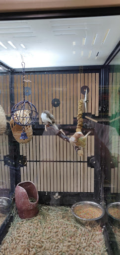 Pet Supply Store «PetSmart», reviews and photos, 7340 W 191st St, Tinley Park, IL 60487, USA