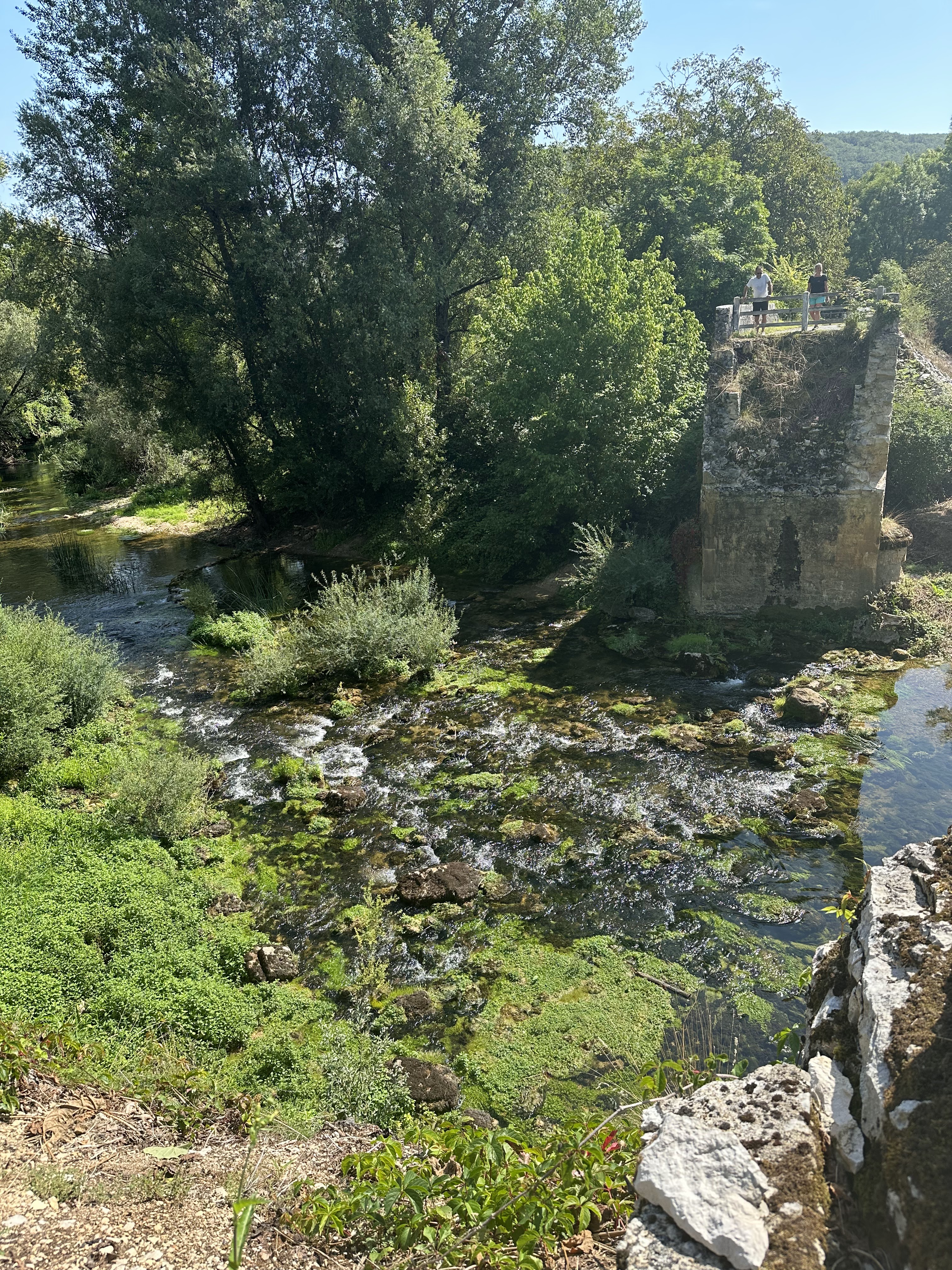 Photo n° 1 de l'avis de Brasier.a fait le 18/08/2023 à 09:27