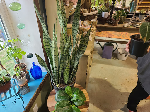 Garden Center «Victoria Gardens», reviews and photos, 1 Cottekill Rd, Rosendale, NY 12472, USA