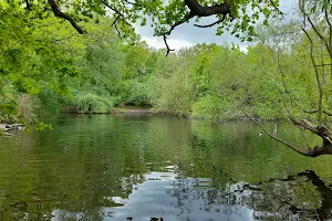 Rush Pond image