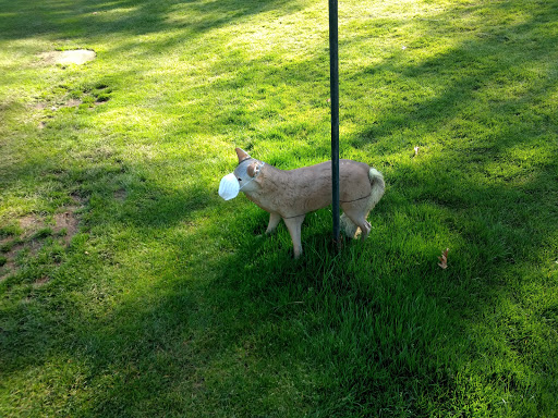 Golf Course «Oakway Golf Course», reviews and photos, 2000 Cal Young Rd, Eugene, OR 97401, USA