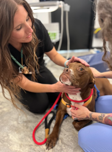 Coventry Veterinary Clinic image