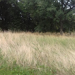 Photo n° 16 de l'avis de Fatiha.i fait le 27/08/2020 à 18:45 pour Parc Paul Loridant à Les Ulis