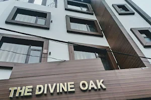 The Divine Oak image