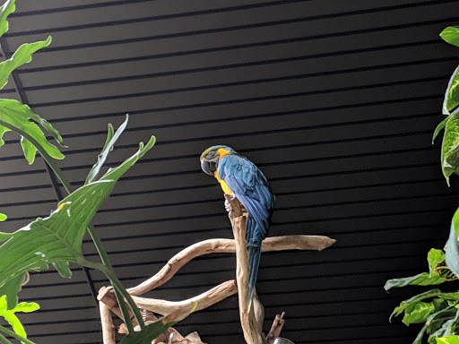 Science Museum «Discovery Place Science», reviews and photos, 301 N Tryon St, Charlotte, NC 28202, USA