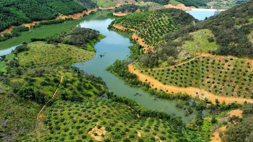 Top 20 background cửa hàng Huyện Cát Tiên Lâm Đồng 2022