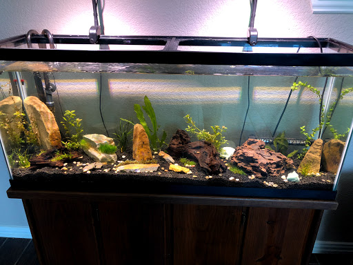Tropical Fish Store «Glass Aquatics», reviews and photos, 542 W Harwood Rd, Hurst, TX 76054, USA