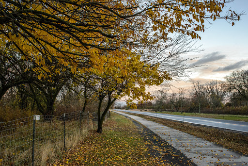 National Park «Great Kills Park», reviews and photos, 3270 Hylan Blvd, Staten Island, NY 10305, USA