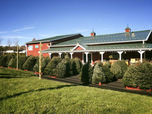 Pet Supply Store «Bay State Pet & Garden Supply», reviews and photos, 429 Winthrop St, Taunton, MA 02780, USA