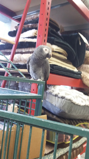 Pet Supply Store «At Your Services Pet Supplies», reviews and photos, 55 S Valle Verde Dr #300, Henderson, NV 89012, USA