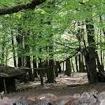 Photo n°8 de l'avis de Christine.o fait le 22/05/2023 à 21:18 sur le  Erlebniswald Am Acisbrunnen à Schlüchtern