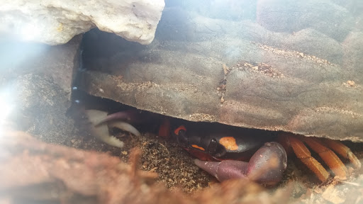 Pet Store «Salisbury Super Pet», reviews and photos, 329 Civic Ave, Salisbury, MD 21804, USA