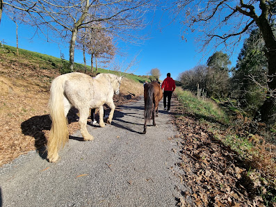 Asociacion sos pitbull&horses la virgen del monte, 39310 Miengo, Cantabria, España